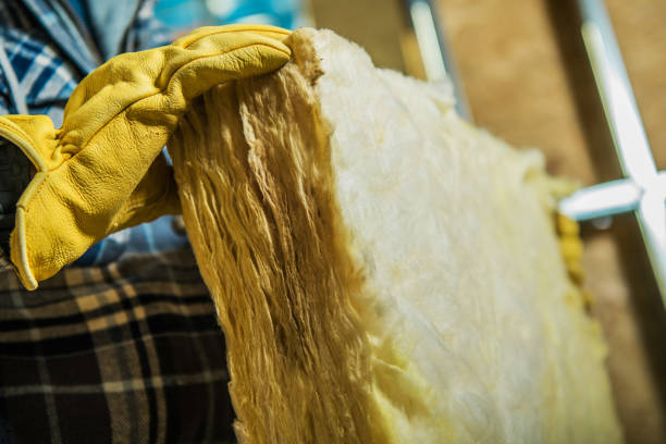 Best Insulation Inspection Services  in Anthony, TX