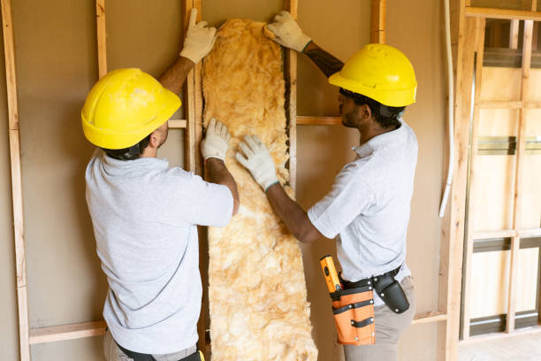 Best Wall Insulation Contractor  in Anthony, TX