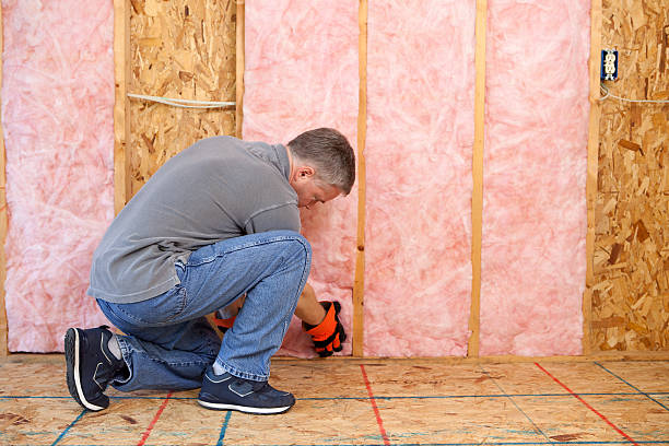 Best Best Insulation Companies  in Anthony, TX