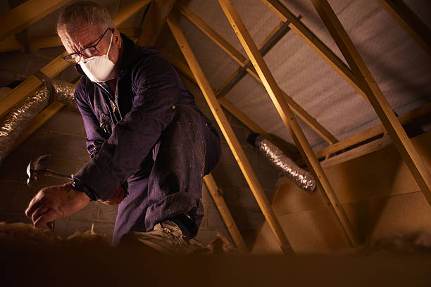 Best Local Insulation Services  in Anthony, TX